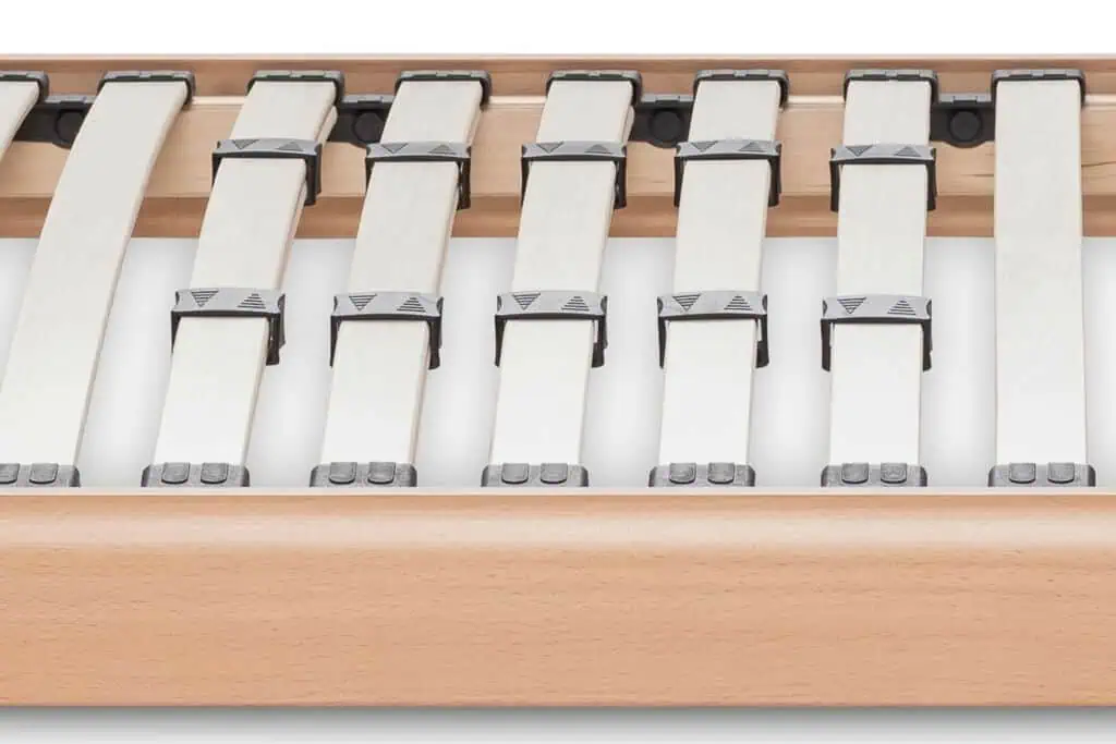 BICO Primo A Lattenrost H2020 Ausschnitt