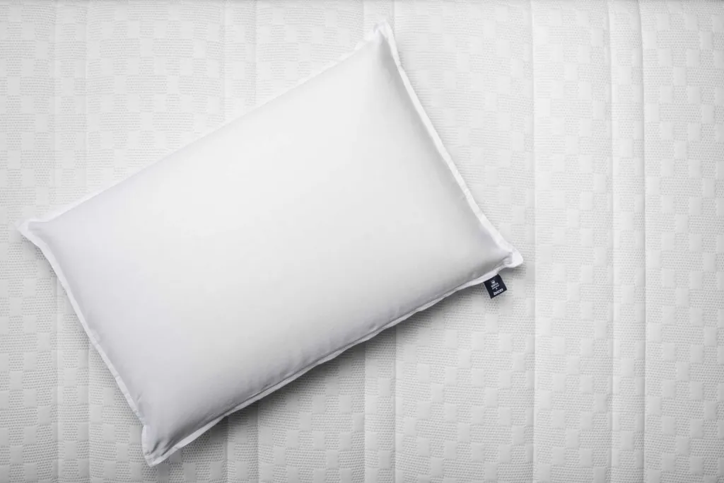 BodySoft Edition Trauffer